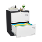 2 Drawer Metal Lateral File Cabinet with Lock,Office Vertical Files Cabinet for Home Office/Legal/Letter/A4,Locking Metal File Cabinet,Assembly Required W1247118739-djyc