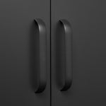 Suitable for steel storage cabinets in living rooms, kitchens, and bedrooms, 2 door miscellaneous storage cabinet, garage tool storage cabinet, and office file cabinet 2 movable partitions W1247P173320-djyc