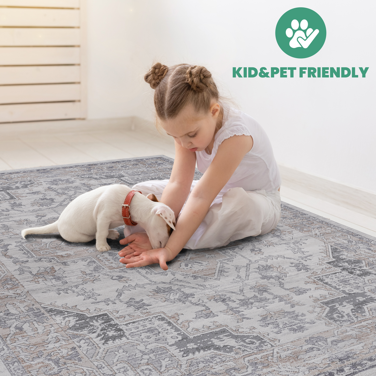 23956917