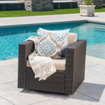 Outdoor Swivel Patio Chair with Cushions (Single, Dark Brown / Beige) N757P252761B-djyc