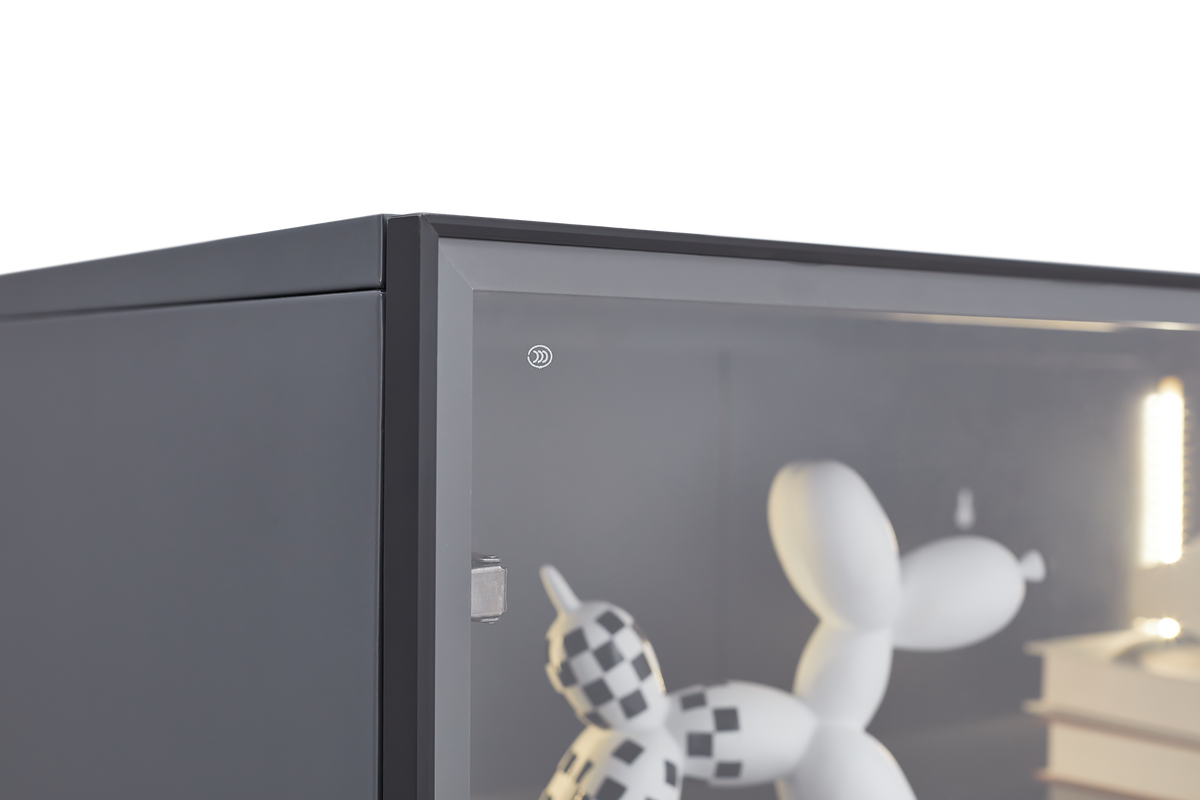 Single Glass Door Metal Storage Cabinet for Storing Photo Frames, Models, Handicrafts Display Cabinets with Removable Dividers and LED Light Strips, Suitable for Living Room, Study, and other places. W2385P152326-djyc