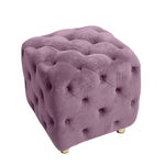Purple Modern Velvet Upholstered Ottoman, Exquisite Small End Table, Soft Foot Stool,Dressing Makeup Chair, Comfortable Seat for Living Room, Bedroom, Entrance W1170103517-djyc