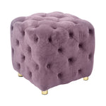 Purple Modern Velvet Upholstered Ottoman, Exquisite Small End Table, Soft Foot Stool,Dressing Makeup Chair, Comfortable Seat for Living Room, Bedroom, Entrance W1170103517-djyc