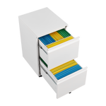 Metal 2 Drawers Mobile File Cabinet with Lock, Under Desk Office Steel Filing Cabinet, 25.6''H Legal/Letter Size Files Storage Cabinet,White W1247125572-djyc