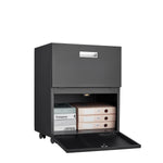 Office furniture Copier Cabinet black 2 door steel copier stand mobile pedestal file Printer Stand W1247P160443-djyc