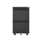 2 Drawer File Cabinet with Lock, Metal Under Desk Rolling Filing Cabinet fits Letter/Legal/A4 Size for Home Office, Mobile Filing Cabinet, Assemble Required, Black W1247125571-djyc
