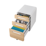 3 Drawer Mobile File Cabinet Under Desk Office,Simple Style Versatile Storage Cabinet for Legal/Letter/A4 Files, 5 Wheel Design Anti-Tilting Cold Rolled Steel Waterproof Moisture-Proof Black W1247P145906-djyc