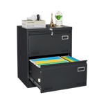 2 Drawer Metal Lateral File Cabinet with Lock,Office Vertical Files Cabinet for Home Office/Legal/Letter/A4,Locking Metal File Cabinet,Assembly Required (Black,with 2 Drawer) W1247P160450-djyc