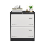 2 Drawer Metal Lateral File Cabinet with Lock,Office Vertical Files Cabinet for Home Office/Legal/Letter/A4,Locking Metal File Cabinet,Assembly Required W1247118739-djyc