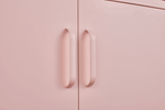 Pink Steel Double Door Cabinet with Handles, With Removable Dividers and Adjustable Height. Suitable for Living Room, Office, Bedroom, Study and Other Places. W328P195208-djyc