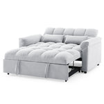 Loveseats Sofa Bed with Pull-out Bed,Adjsutable Back,Light Grey W487109970-djyc