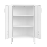 Suitable for steel storage cabinets in living rooms, kitchens, and bedrooms, 2 door miscellaneous storage cabinet, garage tool storage cabinet, and office file cabinet 2 movable partitions W1247P173330-djyc