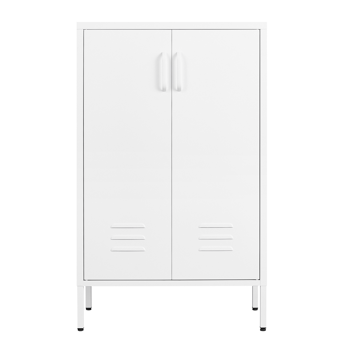 Suitable for steel storage cabinets in living rooms, kitchens, and bedrooms, 2 door miscellaneous storage cabinet, garage tool storage cabinet, and office file cabinet 2 movable partitions W1247P173330-djyc