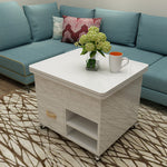 Multi-Functional Lifting Tea Table with Storage and Modern Design fcx-2593