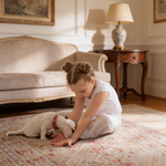 MAVAL Beige Washable Rug 8x10 Area Rug (Beige, 8' x 10')-B189P188993 - 场景图