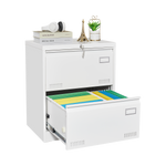 Filing Cabinet Lateral File Cabinet 2 Drawer, White Filing Cabinets with Lock, Locking Metal File Cabinets Three Drawer Office Cabinet for Legal/Letter/A4/F4 Home Offic W1247P160451-djyc