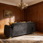 Lippa 2pc Upholstered Sofa and Loveseat Set in Black Fabric with Gold Stainless Steel Legs, Foam Cushioning and Sturdy Wood Frame-B009S02235 - 场景图