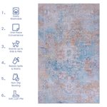 23956434
