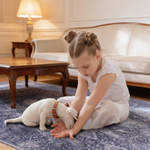 MAVAL Anthracite Washable Rug 2'6'' x 10' Runner Rug (Anthracite, 2'6'' x 10')-B189P189039 - 场景图