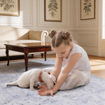 MAVAL Blue Washable Rug 6x9 Area Rug (Blue+Cream, 6' x 9')-B189P189051 - 场景图