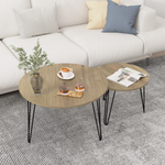 27.56'' Round Nesting Coffee Table Set of 2, Circular Nesting End Table Set, Round Wooden Tabletop, and Sturdy Metal Base for Living Room, bedroom, Brown W808P176732-djyc