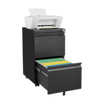 2 Drawer File Cabinet with Lock, Metal Under Desk Rolling Filing Cabinet fits Letter/Legal/A4 Size for Home Office, Mobile Filing Cabinet, Assemble Required, Black W1247125571-djyc