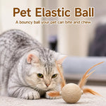 Cat Feather Teaser Ball Toy