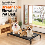 Elevated Mesh Dog Bed with Iron Frame