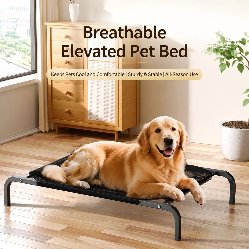 Elevated Dog Cot Bed with Removable Cover