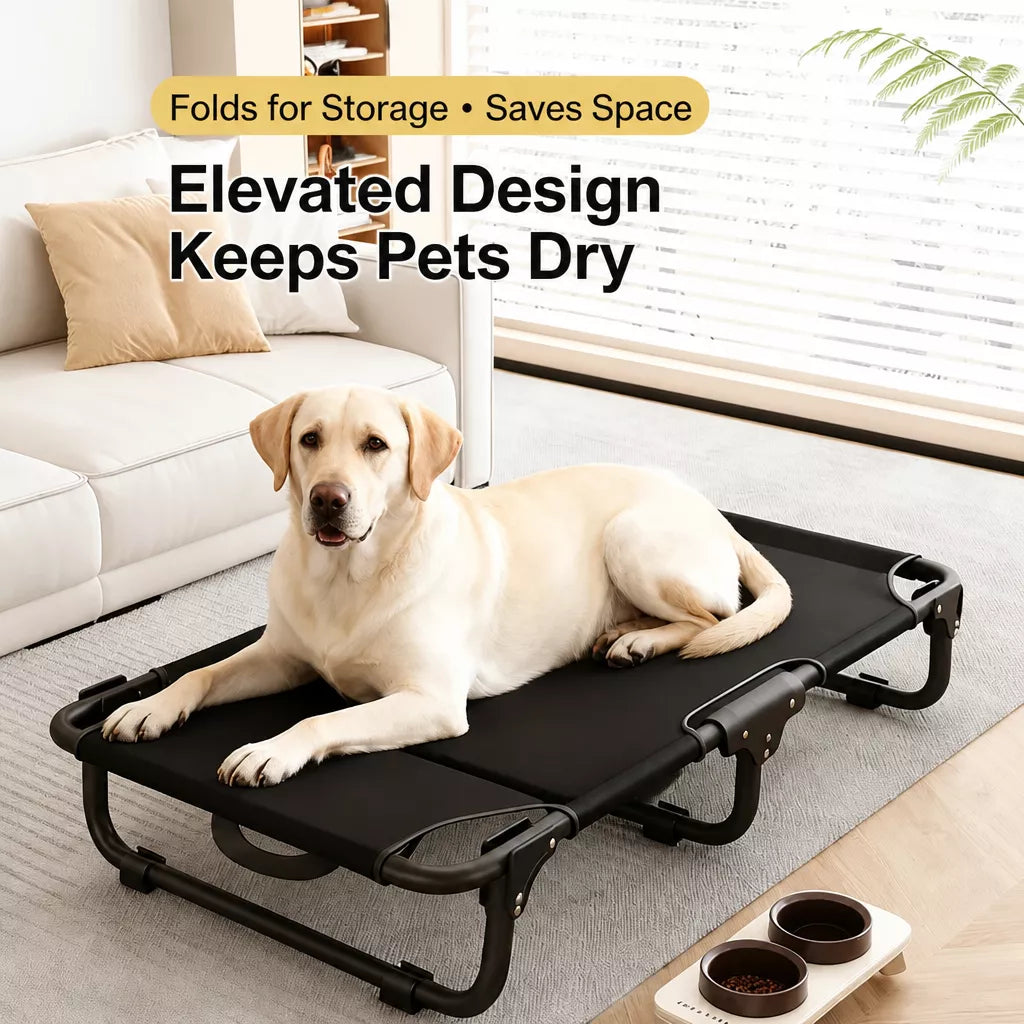 Elevated Folding Dog Cot with Breathable Mesh