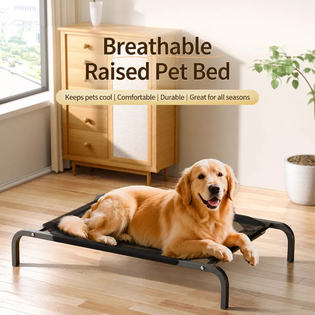 Elevated Dog Cot with Nylon Mesh and Iron Frame