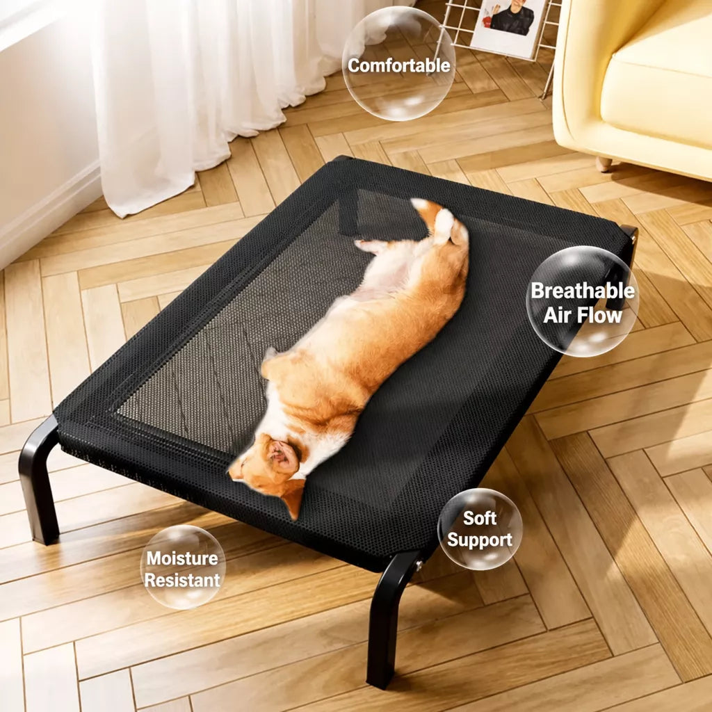 Elevated Dog Bed with Nylon Cot and Stainless Steel Frame