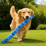 4-Section Squeaky Sausage Dog Toy
