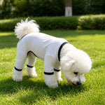 Lightweight Mesh Pet Shirt