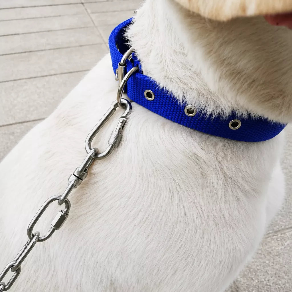 304 Stainless Steel Chain Dog Leash, Collar & Handle Set