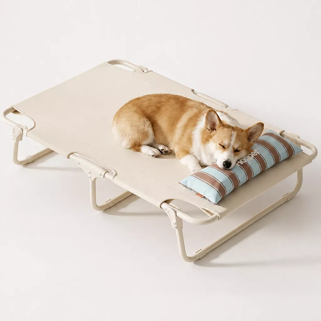 Elevated Waterproof Dog Cot Bed