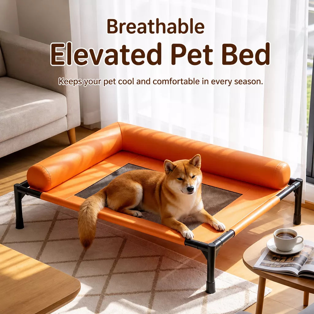 Raised Pet Cot Bed for Small to Medium Dogs and Cats