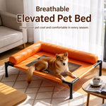 Raised Pet Cot Bed for Small to Medium Dogs and Cats