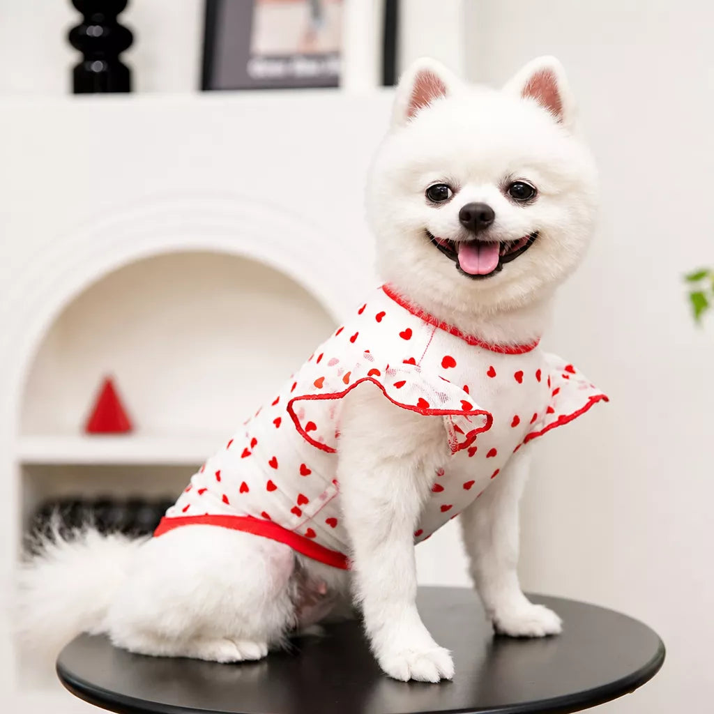 Lightweight Summer Mesh Pet Shirt for Dogs and Cats