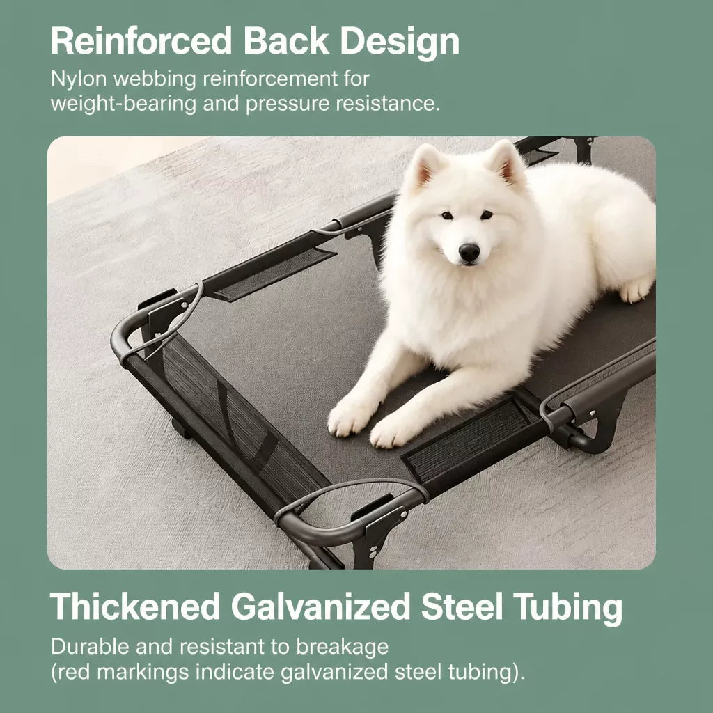 Elevated Folding Dog Cot with Breathable Mesh