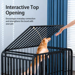 Indoor Dog Crate with Divider, Tray & Locking Casters