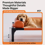 Raised Pet Cot Bed for Small to Medium Dogs and Cats