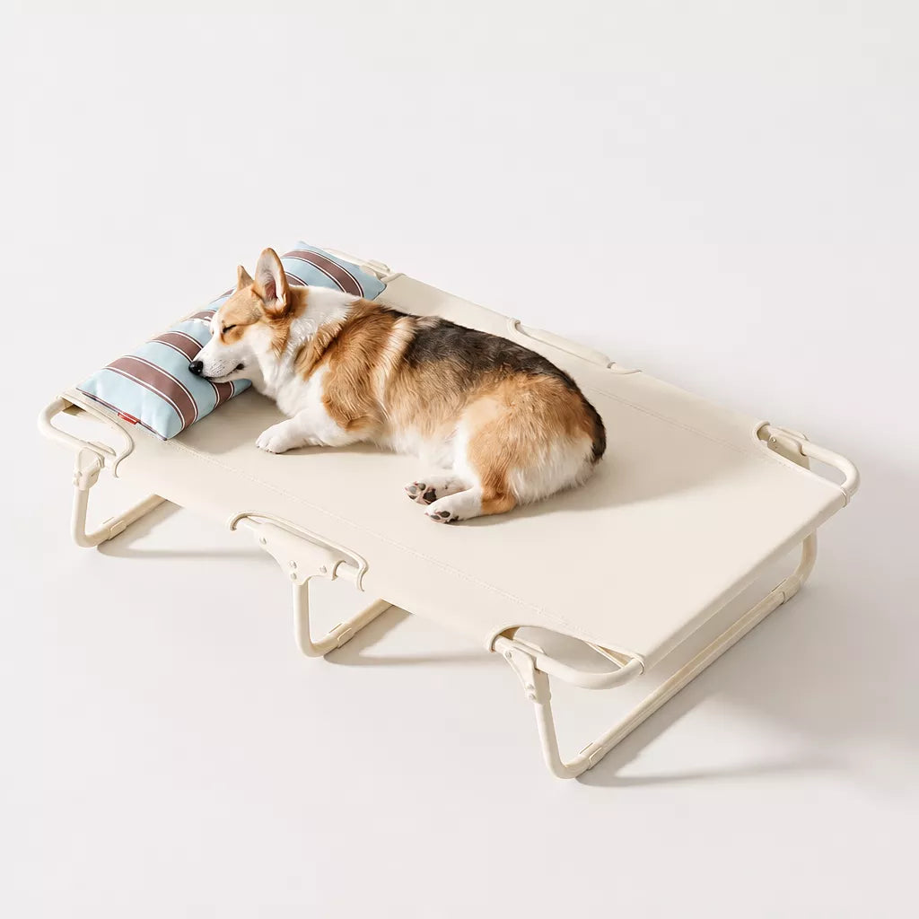 Elevated Waterproof Dog Cot Bed