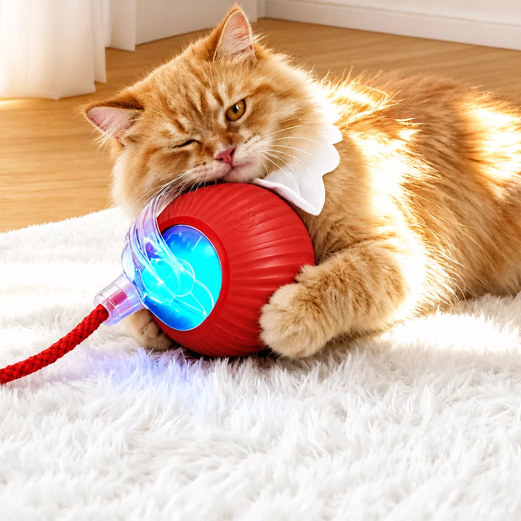 Automatic Interactive Rolling Cat Ball Toy