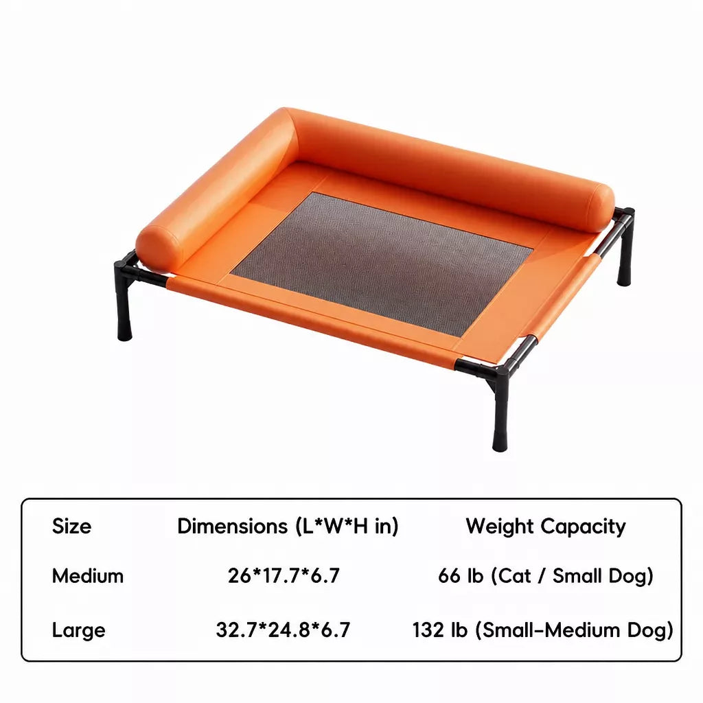 Raised Pet Cot Bed for Small to Medium Dogs and Cats