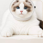 Cat Space Hood Elizabethan Collar