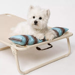 Elevated Waterproof Dog Cot Bed