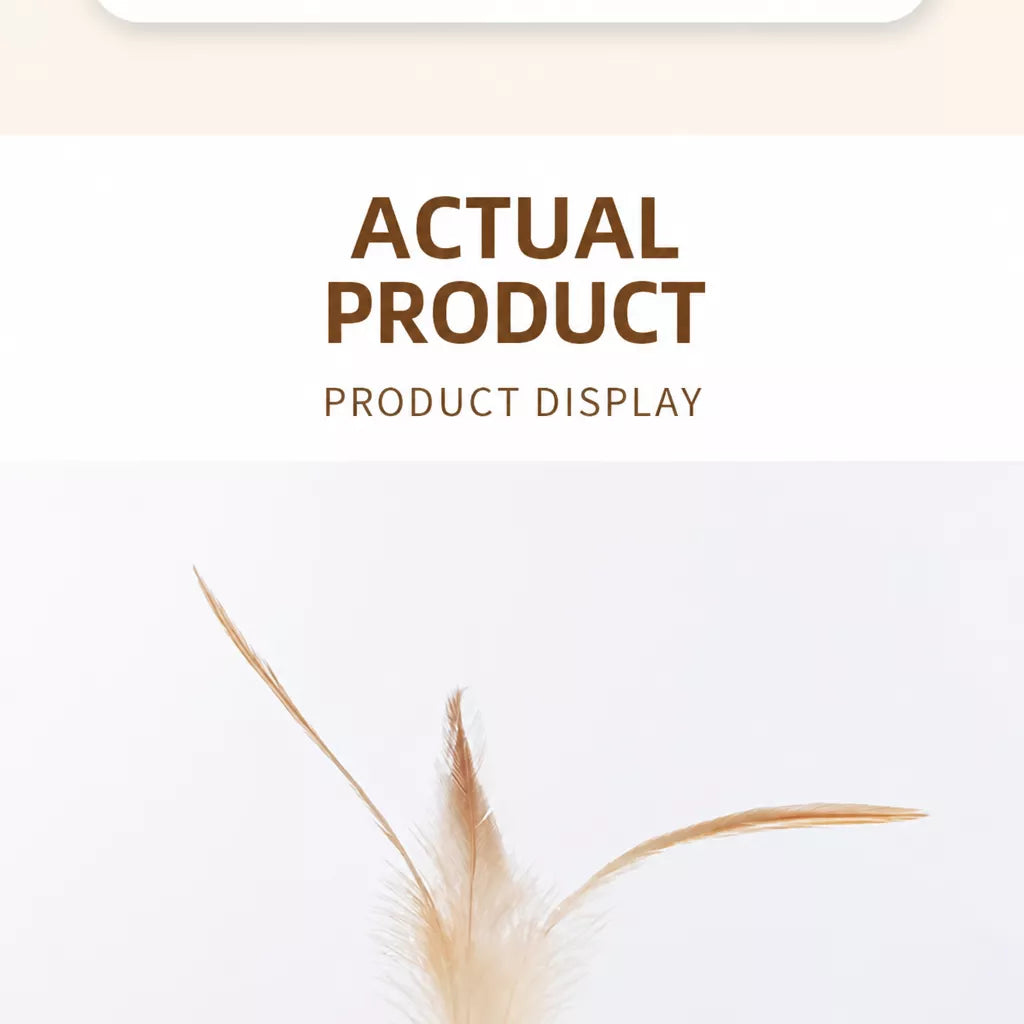 Cat Feather Teaser Ball Toy