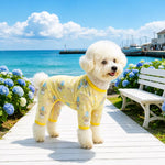 Four-Leg Dog Shirt with Cartoon Print