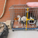 Large Galvanized Steel Dog Kennel for Indoor & Outdoor Use